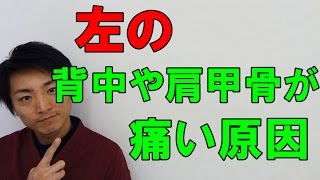 左の背中や肩甲骨が痛い原因「和歌山の整体　廣井整体院」