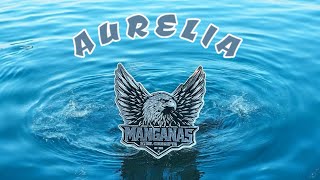 Manganas Steel Concepts newest design: Aurelia