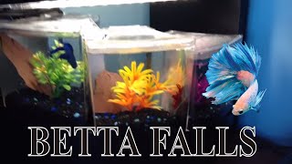 Aqueon Betta Falls Aquarium