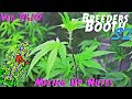 Breeders Booth S2 Ep. 6 | Veg Weeks 9 & 10 | Mixing Up Nutes