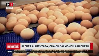 ALERTĂ ALIMENTARĂ, OUĂ CU SALMONELLA ÎN BUZĂU_Știri B1TV_14 oct. 2024