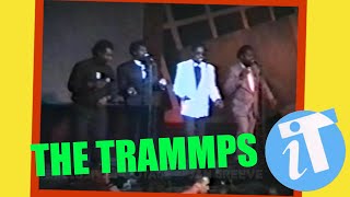 Discotheek iT, THE TRAMMPS