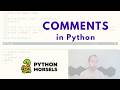 Commenting in Python