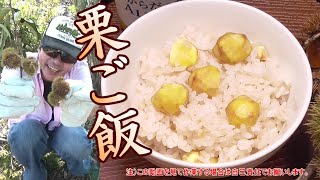 山栗採って食べる。栗ご飯。ホクホクうまいぞ！　簡単、栗ご飯の作り方。　山栗、芝栗。栗拾い。　山菜、野草。山菜採り。　男の料理。レシピ。