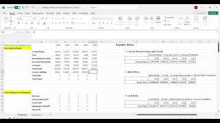 FIN5063-2W7FP Part 1 Financial Analysis