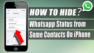 How to Hide Whatsapp Status from some Contacts on iphone (2024)