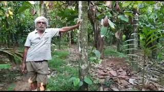 Innovative farmer Siddapur, Bilagi