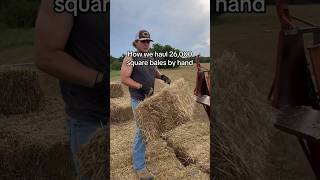 26,000 square bales by hand! #farming #farmer #farm