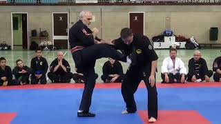 #shin #gi #tai KEMPO