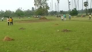 ఎం.అలమండ ఏడ్లు పందెం ||దేవరపల్లి ఎడ్లు పరుగు #bullrace #bulllovers