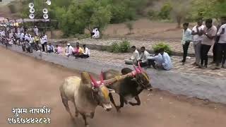 श्री.क्षेत्र निमगाव खंडोबा रेकॉर्ड ब्रेक घाटाचा राजा रामनाथशेठ विष्णु वारिंगे मामा ११.८२