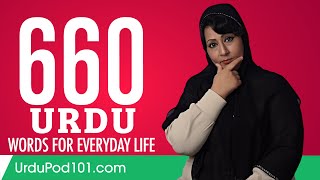 660 Urdu Words for Everyday Life - Basic Vocabulary #33