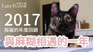 2017是與麻糊相遇的一年！【好味貓日常】第一季｜EP4