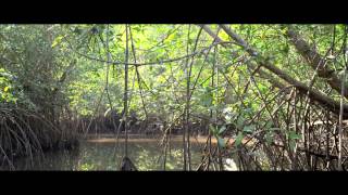 This Changes Everything Capitalism Vs The Climate Book Trailer