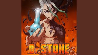 Dr. Stone