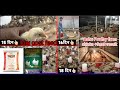 ashu poultry farm/feed+chicks#poultry #chicken #chicks # poultryfeed