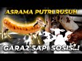 ASRAMA PUTRI MAKIN PENUH..! APALAGI DI TAMBAH SAPI 