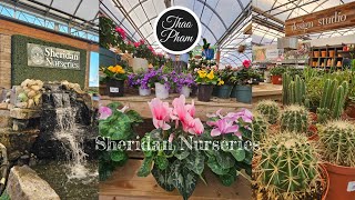 Sheridan Nurseries - Southdown Location