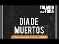 Día de muertos, como honrarlos realmente? Rab David Hanono