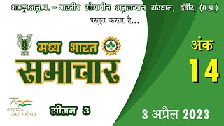 ICAR-मध्य भारत समाचार अंक - 14 ||MADHYA BHARAT SAMACHAR PART - 14 || IISR INDORE