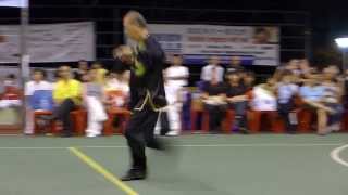 武当剑 Wudang Jian (Wudang Sword) 李文福老师 19 Sep 2015