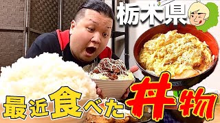 [Tochigi Gourmet] A summary of recently eaten bowls [Katsudon, Yakiniku bowl, Pork bowl 🍚]