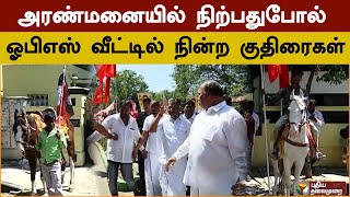 அரண்மனையில் நிற்பதுபோல் ஓபிஎஸ் வீட்டில் நின்ற குதிரைகள் | PTD