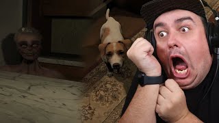 Home Invasion horror! Protect the dog! | Danny's House