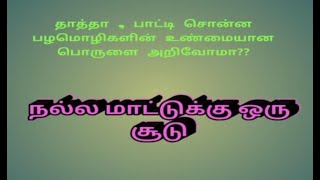 நல்ல மாட்டுக்கு ஒரு சூடு   Tamil proverbs / அறிவோம்/ pazhamozhigal  பகுதி - 19