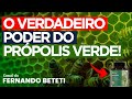 OS SEGREDOS DO PRÓPOLIS VERDE! O MELHOR MÉTODO ANTI-INFLAMATÓRIO DO PLANETA | DR. NIRALDO PAULINO