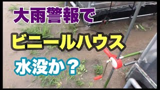 【大雨警報】ビニールハウスが心配で見に行く！