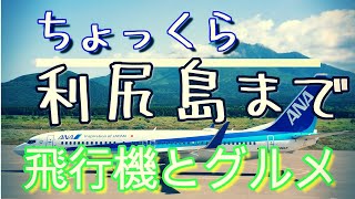 【利尻島旅行_最終日】絶景と絶品の旅行Vlog、利尻空港の眺めが絶景すぎた！、新千歳空港で五感が刺激される激うまハンバーグを食べる