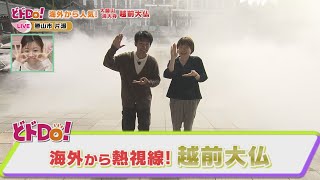 にじパレ どドDo！ ～海外から熱視線！越前大仏～