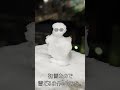 初雪なので、雪だるま作ってみた　（笑）