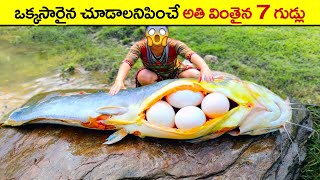 🔵 వింతగా కనిపించే 7 గుడ్లు | Most Unusual Eggs In The World in telugu | #facts | telugu facts