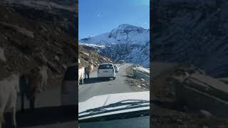 Dangerous roads in Himachal Pradesh via Veena World