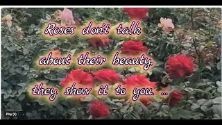 WE HAVE YOU - Beautiful Roses