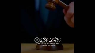 افنجعل المسلمين كالمجرمين _ اسلام صبحي