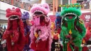 Atraksi 10 Barongsai dan Wushu Meriahkan Imlek