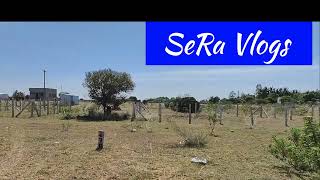 Trichy Panjappur Olaiyur Nearby 🔥 Alagiya Senthamil Nagar 🔥 North Facing Plot For Sale @🔥SeRa Vlogs🔥