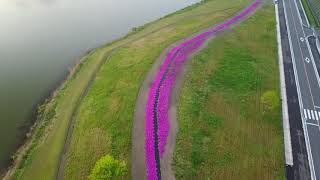 羽合温泉（鳥取県湯梨浜町）