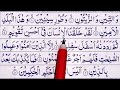 সূরা আত তীন surah at tin শুরু থেকে শেষ পর্যন্ত তাজবিদ সহ বানান করে সহীহ্ শুদ্ধভাবে শিখুন।