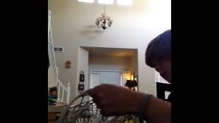Tutorial Tuesday: gait torque