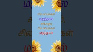 சில காயங்கள்... #shorts #tamil #வாழ்க்கை #thathuvam #shortsfeed #quotes #tamilstatus #shortsfeed