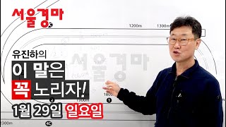 유진하의 이 말은 꼭 노리자!(2023년 1월 29일 일요일)