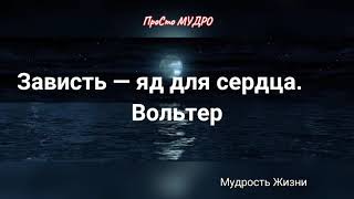 Короткие цитаты великих людей о зависти.