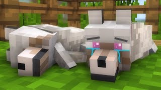 Villager Witch Life Full Animation Alien Being Minecraft