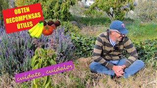 Como empezar un bosque comestible de permacultura. Tercer principio: obtén un rendimiento