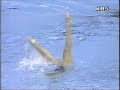 1999 synchro team free mexico artistic swimming