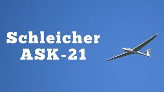 1987 Schleicher ASK21 Sailplane: Regular Car Reviews